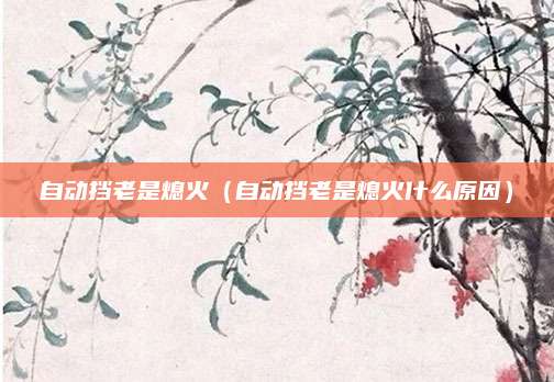 自动挡老是熄火(自动挡老是熄火什么原因)