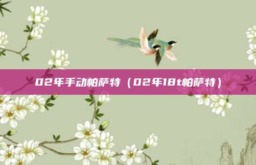 02年手动帕萨特（02年18t帕萨特）