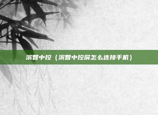 滨智中控（滨智中控屏怎么连接手机）