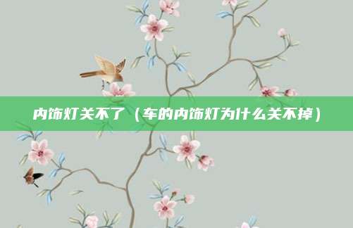 内饰灯关不了(车的内饰灯为什么关不掉)