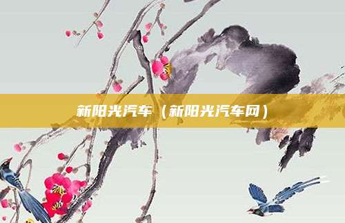 新阳光汽车(新阳光汽车网)