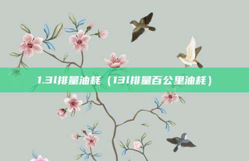 1.3l排量油耗（13l排量百公里油耗）