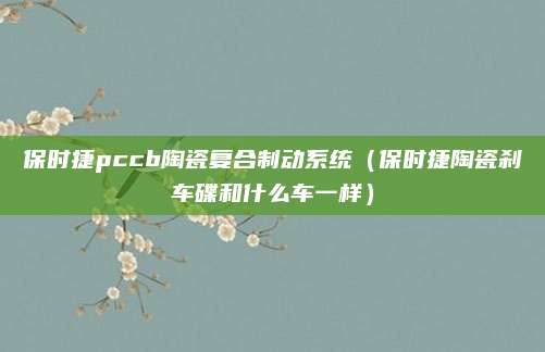 保时捷pccb陶瓷复合制动系统(保时捷陶瓷刹车碟和什么车一样)