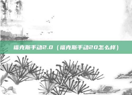 福克斯手动2.0(福克斯手动20怎么样)