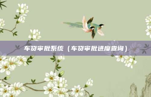 车贷审批系统(车贷审批进度查询)