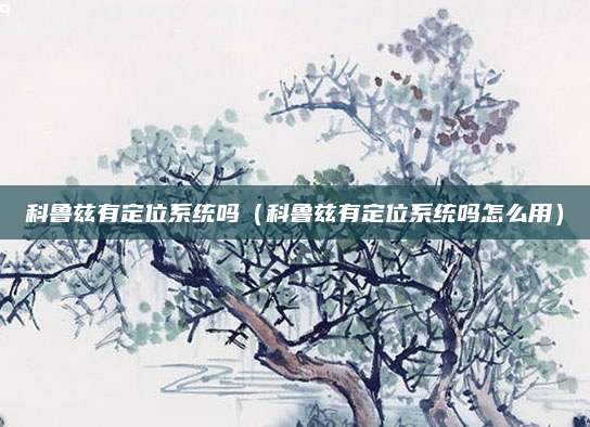 科鲁兹有定位系统吗(科鲁兹有定位系统吗怎么用)