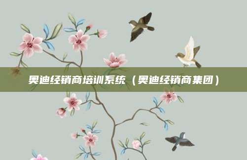 奥迪经销商培训系统(奥迪经销商集团)