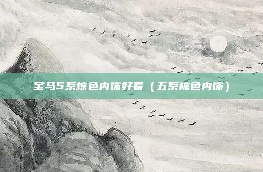 宝马5系棕色内饰好看(五系棕色内饰)