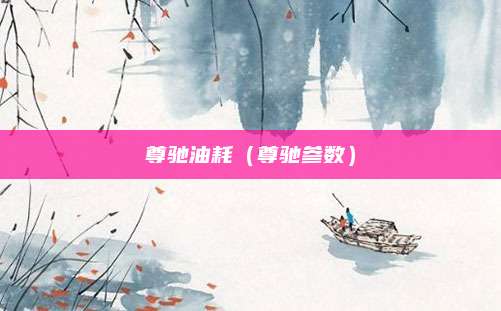 尊驰油耗（尊驰参数）