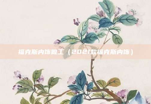 福克斯内饰做工（2021款福克斯内饰）