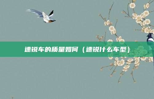 速锐车的质量如何(速锐什么车型)