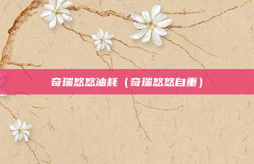 奇瑞悠悠油耗(奇瑞悠悠自重)