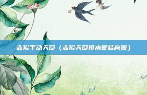 志俊手动天窗(志俊天窗排水管结构图)