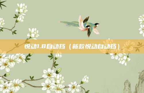 悦动1.8自动挡（新款悦动自动挡）