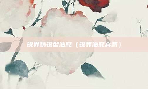 锐界精锐型油耗(锐界油耗真高)