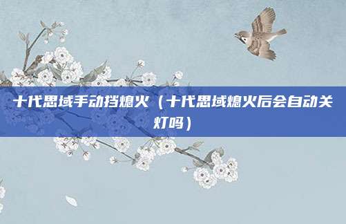 十代思域手动挡熄火(十代思域熄火后会自动关灯吗)