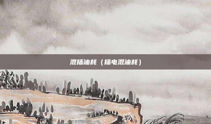 混插油耗(插电混油耗)