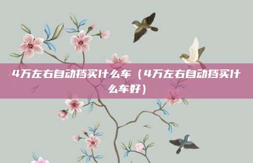 4万左右自动挡买什么车（4万左右自动挡买什么车好）