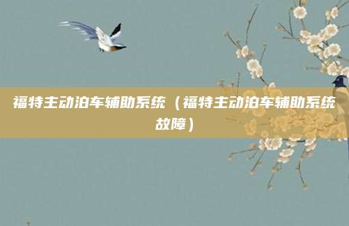 福特主动泊车辅助系统(福特主动泊车辅助系统故障)