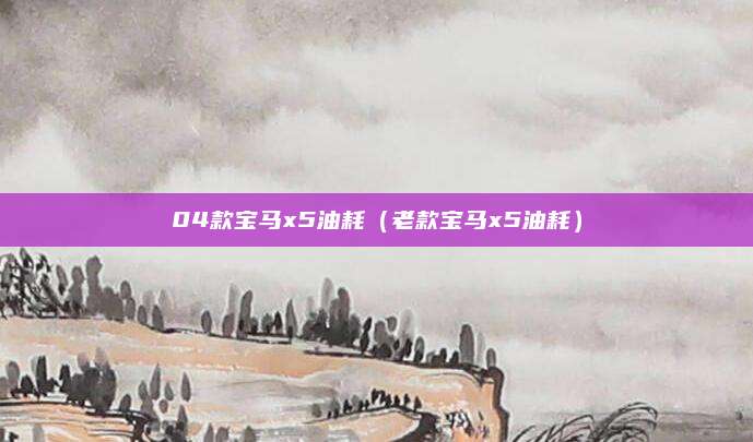04款宝马x5油耗(老款宝马x5油耗)
