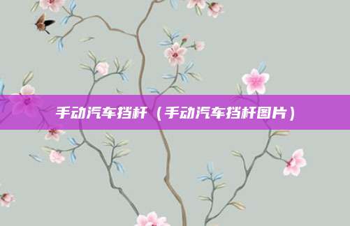手动汽车挡杆(手动汽车挡杆图片)