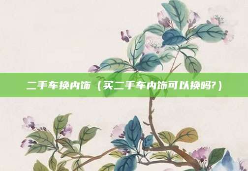 二手车换内饰(买二手车内饰可以换吗?)