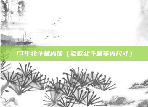 13年北斗星内饰(老款北斗星车内尺寸)