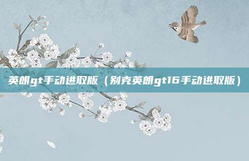 英朗gt手动进取版（别克英朗gt16手动进取版）
