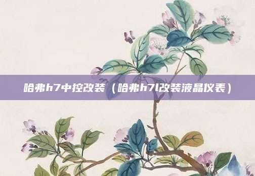 哈弗h7中控改装(哈弗h7l改装液晶仪表)