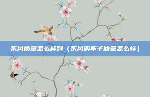 东风质量怎么样啊(东风的车子质量怎么样)