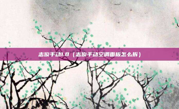 志俊手动1.8(志俊手动空调面板怎么拆)