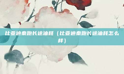 比亚迪秦跑长途油耗（比亚迪秦跑长途油耗怎么样）