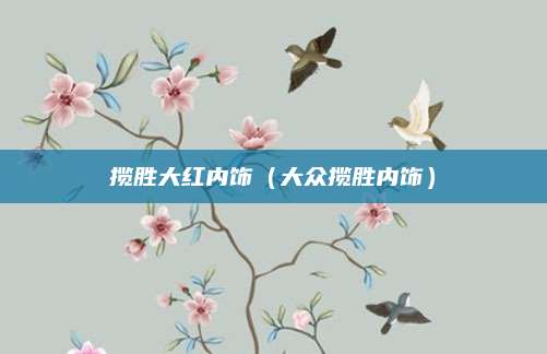 揽胜大红内饰(大众揽胜内饰)