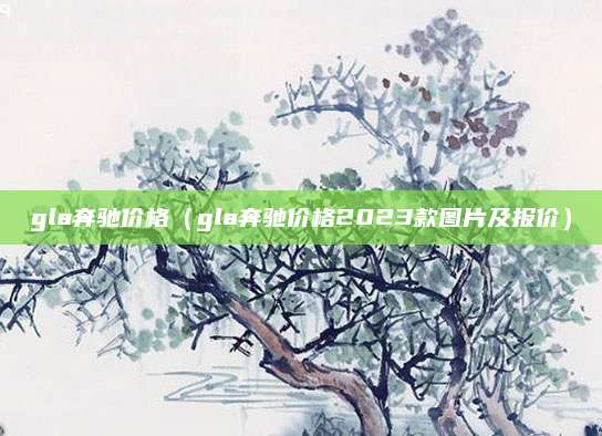 gla奔驰价格（gla奔驰价格2023款图片及报价）