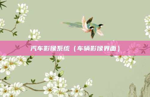 汽车影像系统(车辆影像界面)