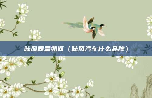 陆风质量如何(陆风汽车什么品牌)