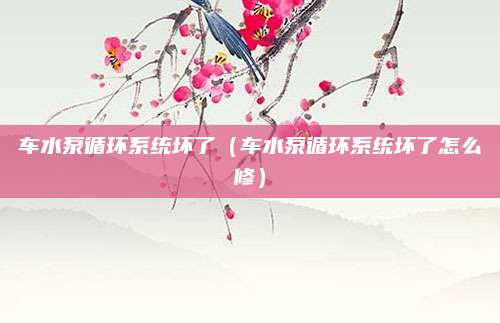车水泵循环系统坏了(车水泵循环系统坏了怎么修)