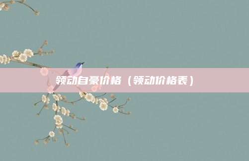 领动自豪价格(领动价格表)