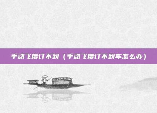 手动飞度订不到（手动飞度订不到车怎么办）