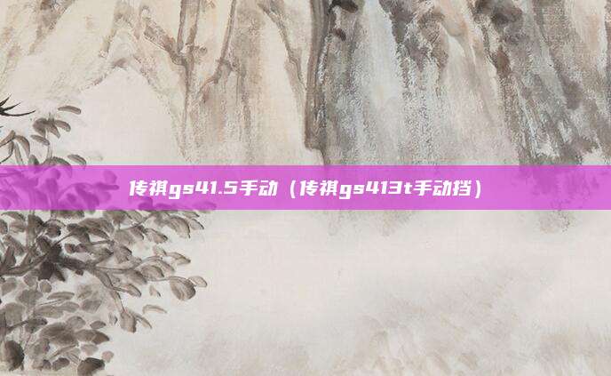 传祺gs41.5手动(传祺gs413t手动挡)