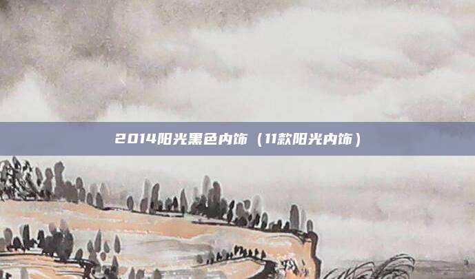 2014阳光黑色内饰(11款阳光内饰)