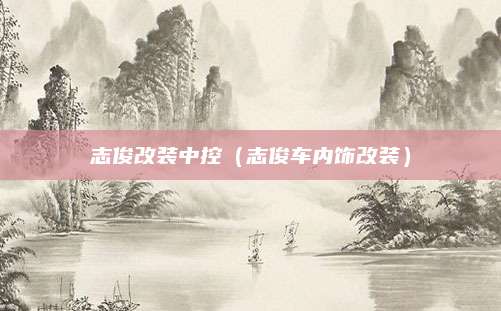 志俊改装中控(志俊车内饰改装)