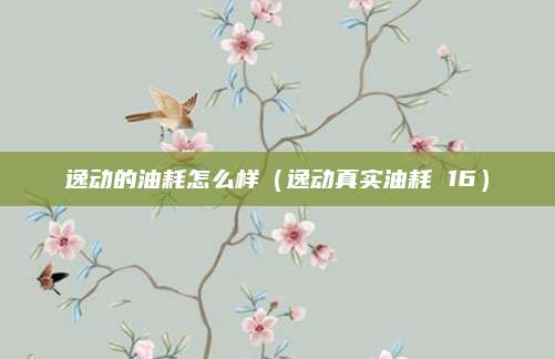 逸动的油耗怎么样(逸动真实油耗 16)