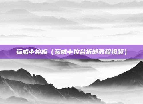 骊威中控板(骊威中控台拆卸教程视频)