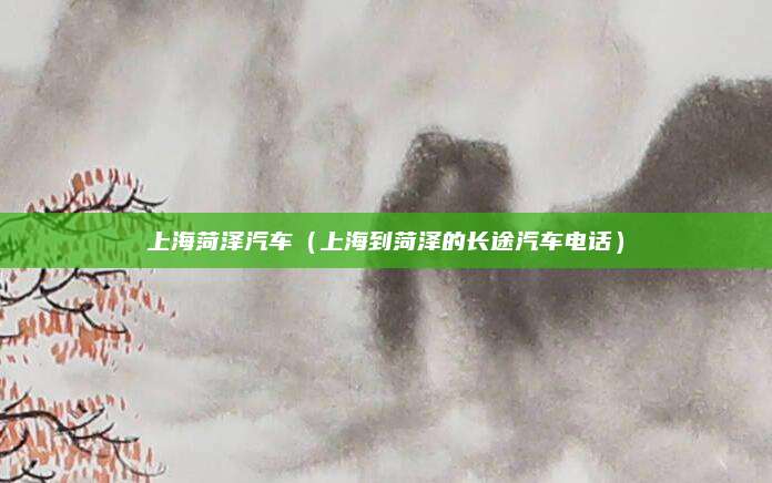 上海菏泽汽车(上海到菏泽的长途汽车电话)