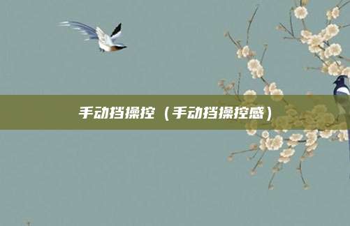 手动挡操控（手动挡操控感）