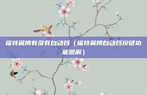 福特翼搏有没有自动挡(福特翼搏自动挡按键功能图解)