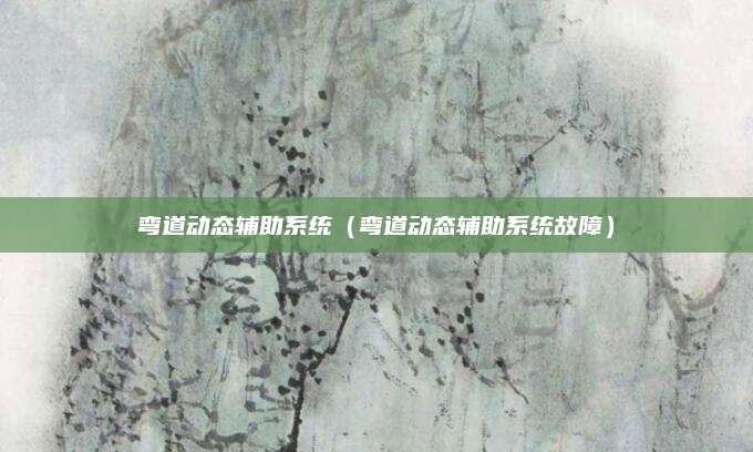 弯道动态辅助系统(弯道动态辅助系统故障)