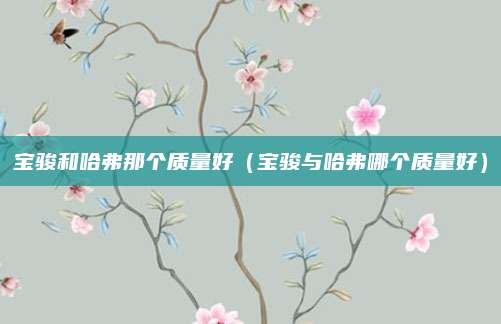 宝骏和哈弗那个质量好(宝骏与哈弗哪个质量好)