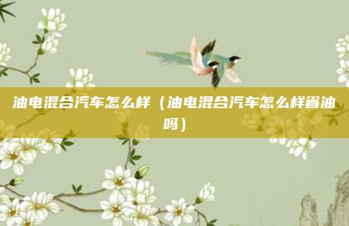 油电混合汽车怎么样(油电混合汽车怎么样省油吗)